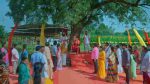 Maguva O Maguva 27th October 2025 Sindhura Reprimands Chenchalamma Episode 528
