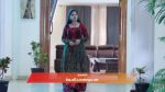 Varisu (Zee Tamil) 30th October 2025 Episode 101 Watch Online