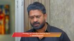 Chinnan Siru Kiliye 5th November 2025 Episode 74 Watch Online
