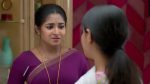 Chinnan Siru Kiliye 14th November 2025 Episode 81 Watch Online