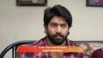 Chinnan Siru Kiliye 29th November 2025 Episode 92 Watch Online