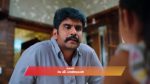 Gattimelam 3rd November 2025 Episode 229 Watch Online