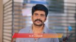 Gattimelam 6th November 2025 Episode 232 Watch Online