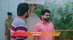 Gattimelam 14th November 2025 Episode 239 Watch Online