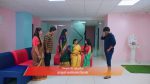 Gattimelam 18th November 2025 Episode 242 Watch Online