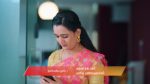 Gattimelam 19th November 2025 Episode 243 Watch Online