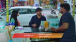 Gattimelam 20th November 2025 Episode 244 Watch Online