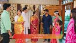 Gattimelam 22nd November 2025 Episode 246 Watch Online
