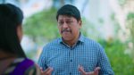 Gattimelam 26th November 2025 Episode 249 Watch Online