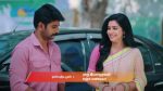 Gattimelam 27th November 2025 Episode 250 Watch Online