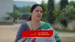 Intinti Ramayanam (Star Maa) 1st November 2025 Kamal Sets a Trap for Pallavi Episode 438