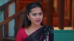 Maguva O Maguva 13th November 2025 Chenchalamma Praises Sindhura Episode 543