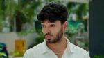 Malli Nindu Jabili 8th November 2025 A Stunner for Govardhan Episode 1106