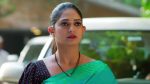 Nindu Noorella Saavasam 29th November 2025 Episode 746