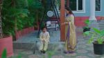 Paluke Bangaramayana 7th November 2025 Subhadra Sparks Tension Episode 688