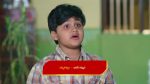 Paluke Bangaramayana 21st November 2025 A Shocker for Surendra Episode 700