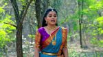 Renuka Yellamma (Star Maa) 5th November 2025 Indumathi Grows Wary of Mangaladevi Episode 752