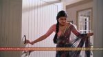 Saru (Zee tv) 29th November 2025 Episode 200 Watch Online