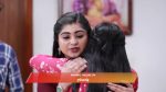 Varisu (Zee Tamil) 1st November 2025 Episode 103 Watch Online