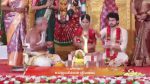Varisu (Zee Tamil) 14th November 2025 Episode 114 Watch Online