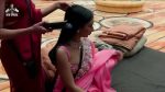 Bigg Boss 19 BBHin Day 86: What’s Cooking? Food and Love Ep 87