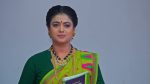 Maguva O Maguva 24th November 2025 Chenchalamma’s New Journey Episode 552