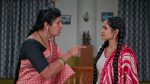 Paape Maa Jeevana Jyothi 1st November 2025 Purnima’s Relentless Demand Episode 1401