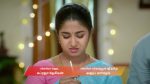 Chinnan Siru Kiliye 17th December 2025 Episode 105 Watch Online