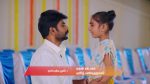 Gattimelam 26th December 2025 Episode 279 Watch Online