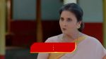 Intinti Ramayanam (Star Maa) 25th December 2025 Ekalingam Misleads Rajendra Prasad Episode 484