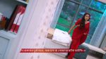 Jowar Bhanta 29th December 2025 Episode 98 Watch Online