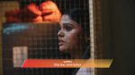 Lakshmi Niwas (Zee Marathi) 11th December 2025 Episode 335