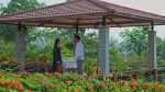 Meghasandesam (Zee Telugu) 7th December 2025 Episode 495