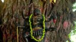 Mukkupudaka 29th December 2025 Episode 1085 Watch Online