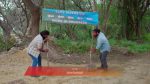 Nindu Noorella Saavasam 1st December 2025 Episode 747