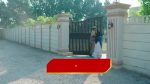 Paluke Bangaramayana 26th December 2025 Sandeep Confronts Hasini Episode 730