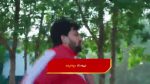 Paluke Bangaramayana 30th December 2025 A Stunner for Shiva Episode 733