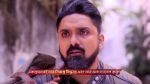 Tui Amar Hero 25th December 2025 Episode 291 Watch Online
