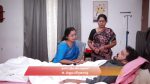 Varisu (Zee Tamil) 15th December 2025 Episode 140 Watch Online