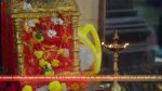 Vasudha (Zee Tv) 15th December 2025 Episode 415 Watch Online