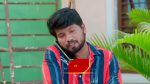 Paluke Bangaramayana 11th December 2025 Shiva’s Plea to Hasini Episode 717