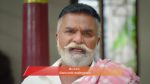 Anna (Tamil) 12th January 2026 Episode 865 Watch Online