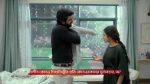 Jowar Bhanta 16th January 2026 Episode 114 Watch Online