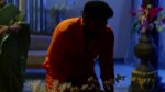 Mukkupudaka 26th January 2026 Episode 1109 Watch Online