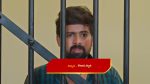 Paluke Bangaramayana 2nd January 2026 Hasini Is Determined Episode 736