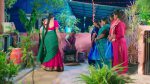 Paluke Bangaramayana 15th January 2026 Sandeep Voices His Hatred Episode 746