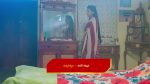 Paluke Bangaramayana 31st January 2026 Hasini Rebukes Nisha Episode 760