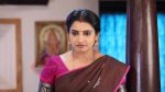 Pandian Stores 4th December 2019 Episode 304 Watch Online