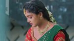 Salangai Oli (Zee Tamil) 3rd January 2026 Episode 246