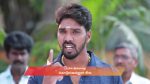 Varisu (Zee Tamil) 14th January 2026 Episode 170 Watch Online